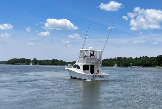 Boat photo for River Cruise