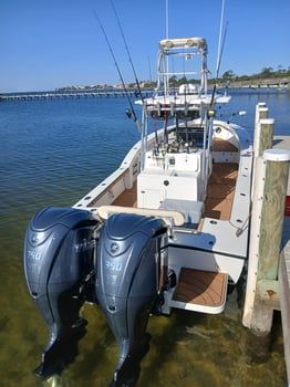Boat photo for 8 Hours Of OFFSHORE Reef Fishing