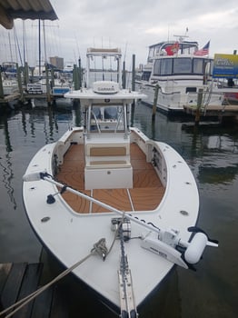 Boat photo for 8 Hours Of OFFSHORE Reef Fishing