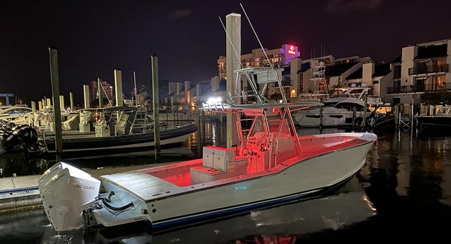 Boat photo for Blackfin Tuna Blitz