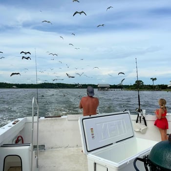 Boat photo for 8 Hour Bottom Fishing / Trolling 