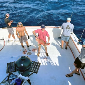 Boat photo for 8 Hour Bottom Fishing / Trolling 