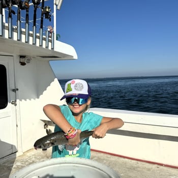Boat photo for 8 Hour Bottom Fishing / Trolling 