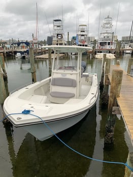 Boat photo for Nearshore 5hrs In The Gulf 