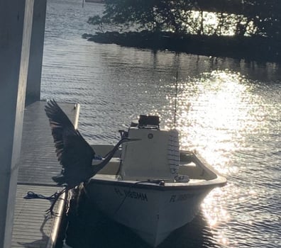 Boat photo for Iguana Hunting Boynton Beach