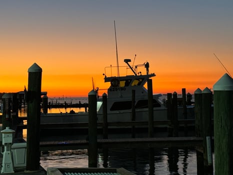 Boat photo for Ocean Thrills With Captain Chase
