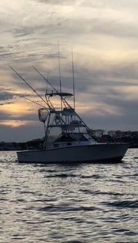 Boat photo for 10 Hour Tuna Fishing Excursion