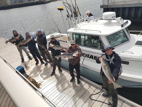 Boat photo for OFFSHORE SHARK TRIP