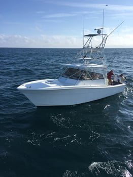 Boat photo for Full Day Offshore 