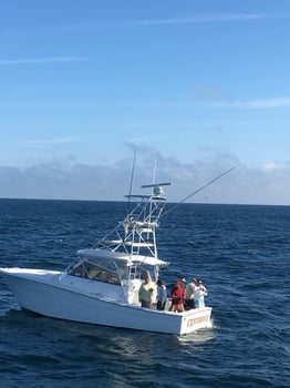 Boat photo for Half Day Offshore 