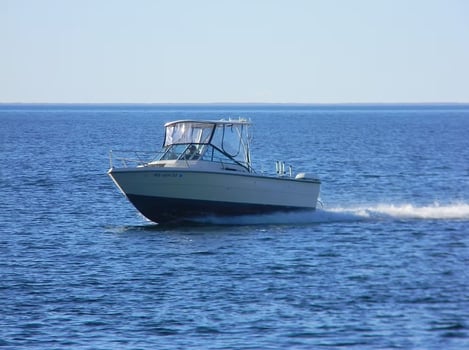 Boat photo for Lake Michigan Salmon & Trout