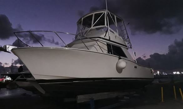 Boat photo for Shark Jetty Trip (Catch & Release)