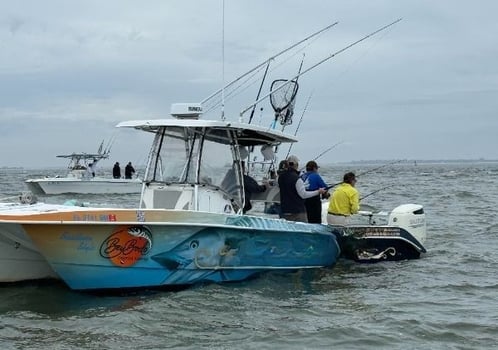 Boat photo for Jetty /bay