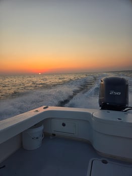 Boat photo for Toothy Critters!