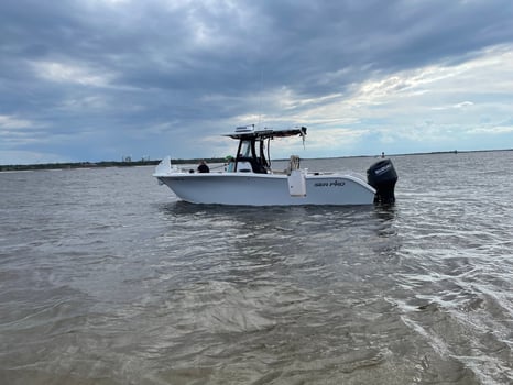 Boat photo for 4-5 HR Nearshore Trip