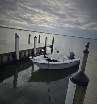 Boat photo for 4 Hr Sunrise Tarpon Trip
