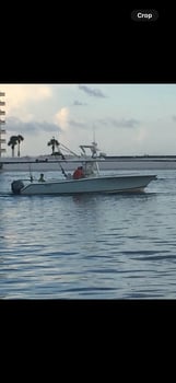 Boat photo for Beginners Offshores