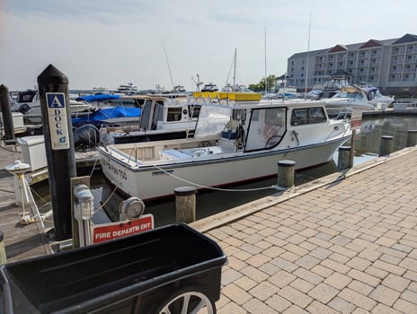 Boat photo for Full Day Trip