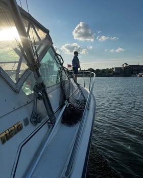 Boat photo for Trolling For Salmon Trout