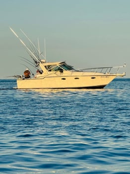 Boat photo for Trolling For Salmon Trout