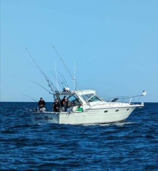 Boat photo for Trolling For Salmon Trout