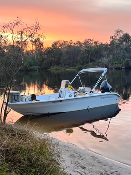 Boat photo for Peacock Bass Fishing 