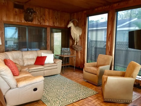 Lodge photo for White Wing Dove Hunting