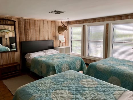 Lodge photo for White Wing Dove Hunting