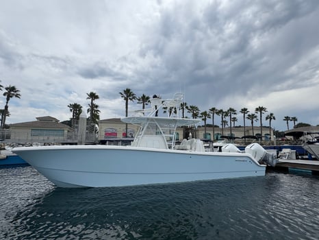 Boat photo for Coronado Islands 9hr