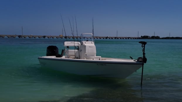 Boat photo for 8 Hour Trip Everything Included. 