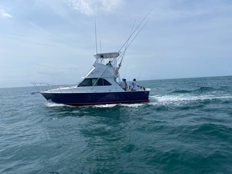 Boat photo for Sunset Cruise