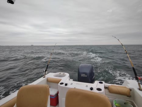 Boat photo for Back Bay Fishing