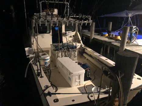 Boat photo for Full Day Tuna Trip