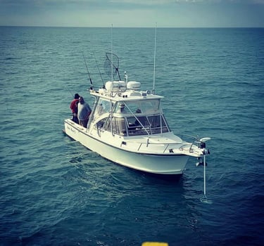 Boat photo for Full Day Trophy Striper