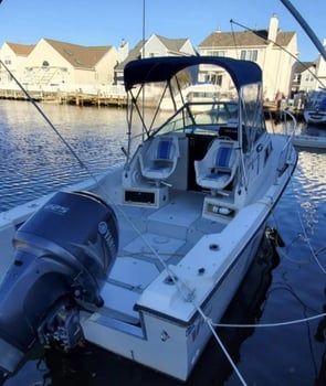 Boat photo for 4 Hour Trip