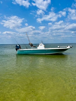 Boat photo for Gulfport Inshore Fishing