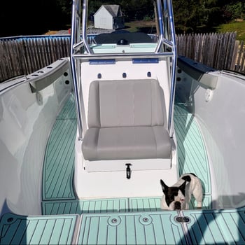 Boat photo for Night Bite