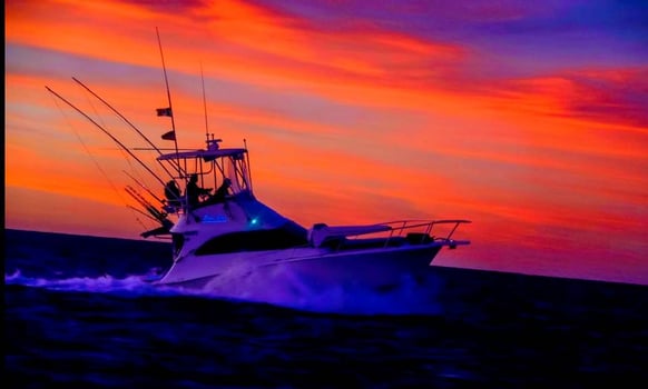 Boat photo for Cabo VIP Fishing - 32’ Luhrs