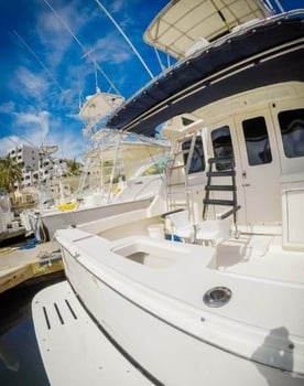 Boat photo for Cabo VIP Fishing - 32’ Luhrs