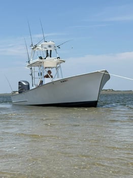 Boat photo for 4 Hours Fishing Trip