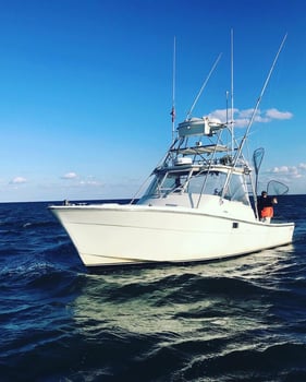 Boat photo for Fluke Fishing Trip