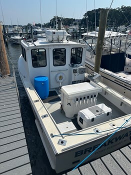 Boat photo for 8 HR Summer Flounder 