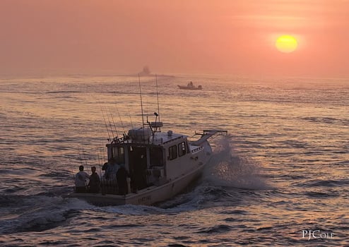 Boat photo for 8 HR Summer Flounder 