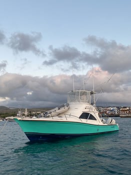 Boat photo for Galapagos Marlin Fishing Experience