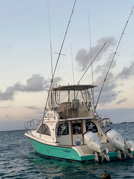 Boat photo for Galapagos Marlin Fishing Experience