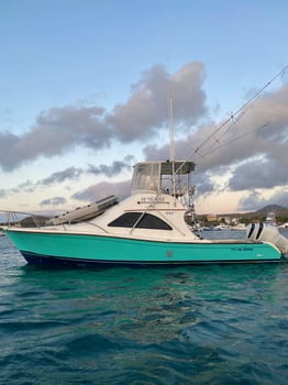 Boat photo for Galapagos Marlin Fishing Experience