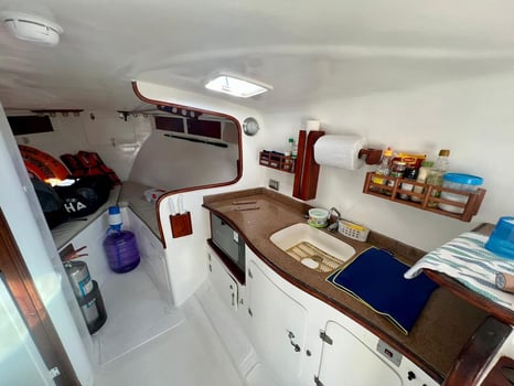 Boat photo for Galapagos Marlin Fishing Experience