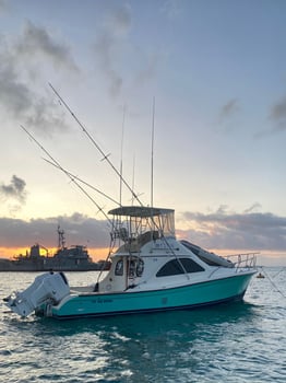 Boat photo for Galapagos Marlin Fishing Experience