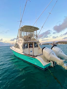 Boat photo for Galapagos Marlin Fishing Experience