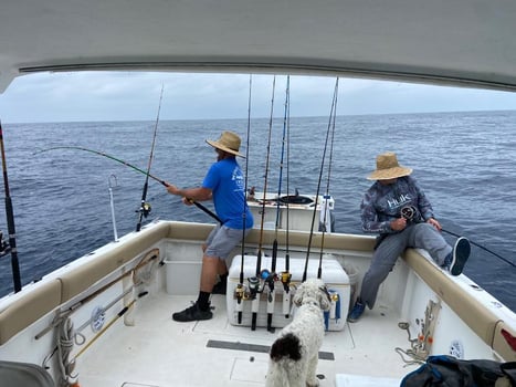 Boat photo for  4-8 Hour Offshore